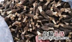 干的羊肚菌怎么泡发 羊肚菌如何发泡