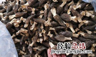 干的羊肚菌怎么泡发 羊肚菌如何发泡