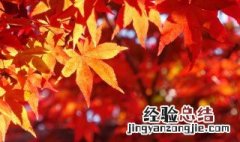 秋分的古诗五字诗句 秋分的古诗五字诗句有哪些