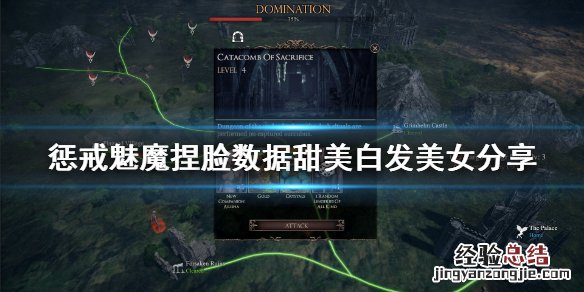 惩戒魅魔捏脸数据怎 惩戒魅魔捏脸数据甜美白发美女