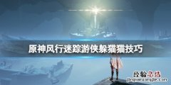原神风行迷踪怎么伪装不了 原神风行迷踪怎么伪装
