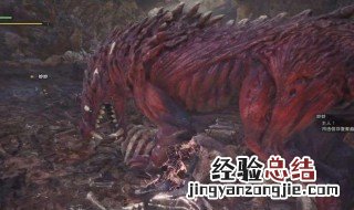 怪物猎人世界兽龙硬币怎么得 怪物猎人世界兽龙种有什么