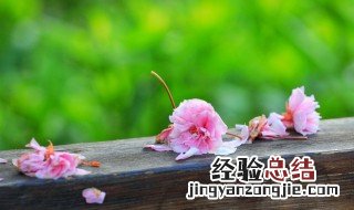 一朝春尽红颜老花落人亡两不知是什么意思 一朝春尽红颜老花落人亡两不知原文