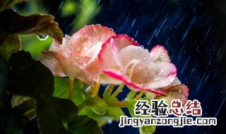 海棠不惜胭脂色独立蒙蒙细雨中的意思 海棠不惜胭脂色独立蒙蒙细雨中意思介绍
