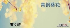 青铜葵花真的存在吗 青铜葵花下架原因