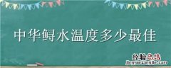 中华鲟水温度多少最佳 中华鲟水温要求