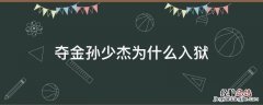 夺金孙少杰因为什么坐牢 夺金孙少杰为什么入狱