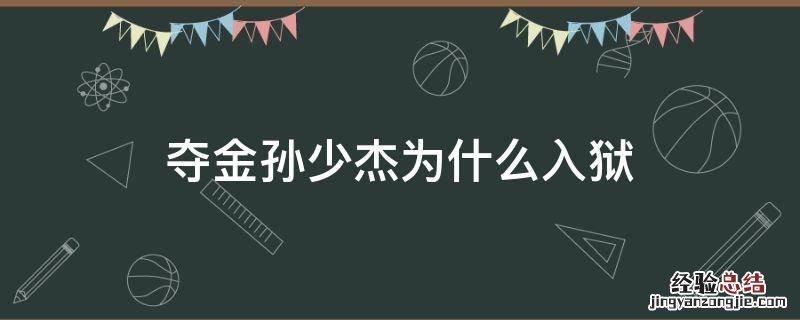 夺金孙少杰因为什么坐牢 夺金孙少杰为什么入狱