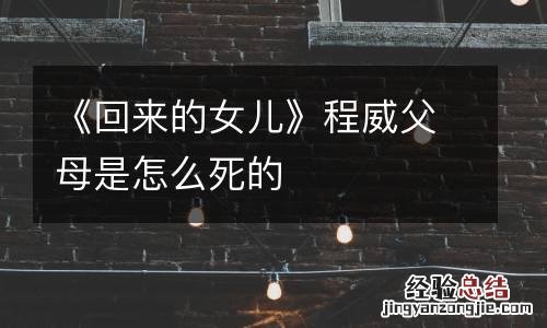 《回来的女儿》程威父母是怎么死的