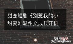 甜宠短剧《别惹我的小甜妻》温州文成县开机