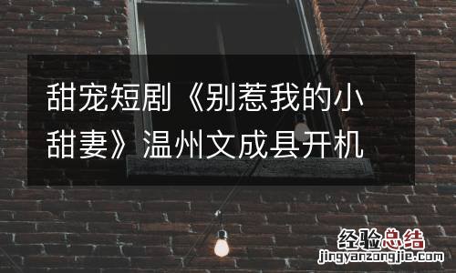 甜宠短剧《别惹我的小甜妻》温州文成县开机