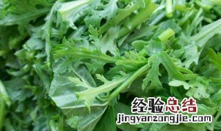茼蒿菜的做法 蒿菜的做法