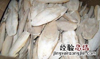 海螵蛸的功效与作用及药用价值 海螵蛸的功效与作用