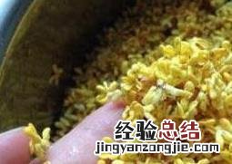 干桂花能直接吃吗 干桂花能直接吃吗怎么吃