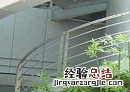 观赏竹怎么养比较好 观赏竹怎么养