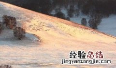 瀚海阑干百丈冰中瀚海阑干的意思 瀚海阑干百丈冰原文