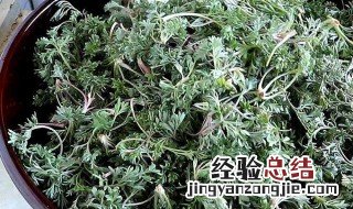 茵陈的吃法和禁忌 茵陈的吃法
