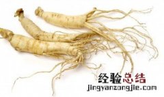 白参的功效与作用及副作用 白参的功效与作用