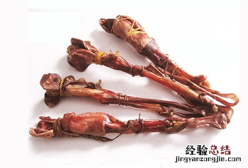 海狗肾是什么东西 海狗肾