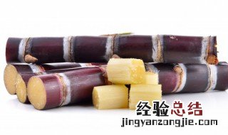 甘蔗是怎么种植的 甘蔗是怎么种植的苗