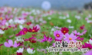 收获生命美好的句子 关于收获生命美好的句子