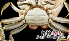 描写螃蟹外形的句子 形容螃蟹的句子介绍