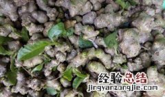 藤三七地下茎块怎么吃 藤三七地下茎块如何吃