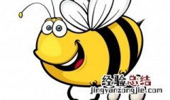 蜜蜂用蜂蜜干嘛 蜜蜂的蜜用来做什么