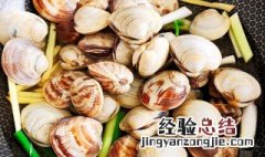 美贝怎么吃 美贝怎样做好吃