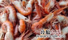 狗虾怎么吃 狗虾如何吃