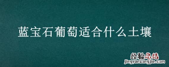 蓝宝石葡萄种植需要怎样生长环境 蓝宝石葡萄适合什么土壤