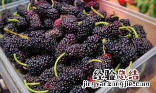 桑葚怎么吃 桑葚怎么吃能治脱发