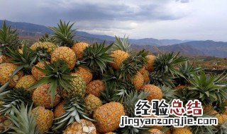 菠萝不泡盐水能吃吗有毒吗 菠萝不泡盐水能吃吗