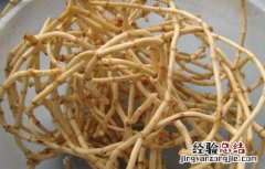鱼腥草怎么做好吃