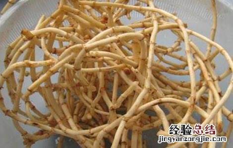 鱼腥草怎么做好吃