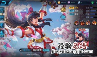 娜可露露怎么玩 娜可露露的实战技巧