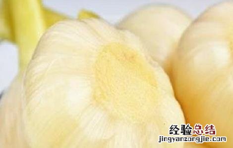 甜蒜的腌制方法 甜蒜的腌制方法图片