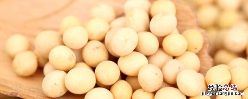 淀粉植物有哪些作用 淀粉是什么植物