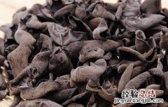 黑木耳是什么样子的 黑木耳的简介及图片大全