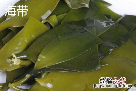海带苗和海带有啥区别 海带苗和海带有区别吗
