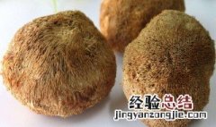 山猴头菇怎么吃 怎么吃 山猴头菇