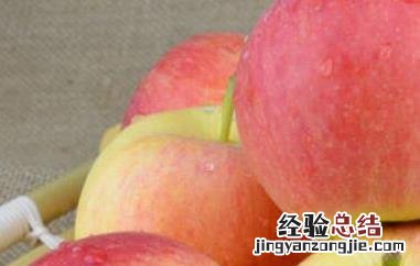 嘎啦和苹果的区别是什么 嘎啦和苹果的区别