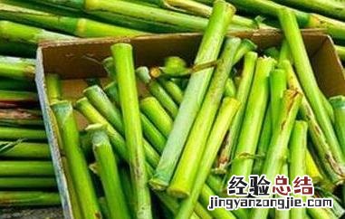 甘蔗的功效与作用 甘蔗的功效与作用及营养价值