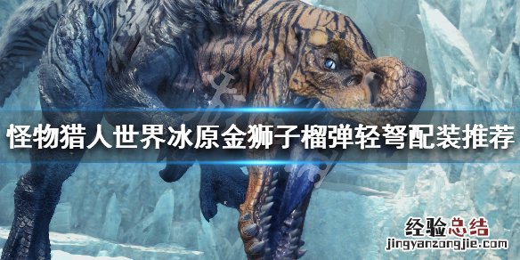 怪物猎人世界冰原金狮子榴弹轻弩配装推荐 榴弹轻弩怎么搭配_网