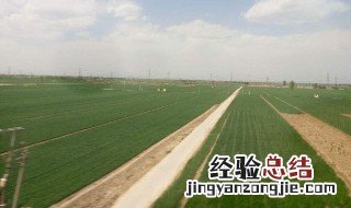 中国的耕地面积占世界的多少 中国的耕地面积占世界的多少?