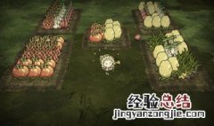 饥荒种子怎么种植方法 饥荒种子怎么种
