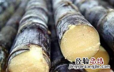 甘蔗怎么吃? 甘蔗怎么吃