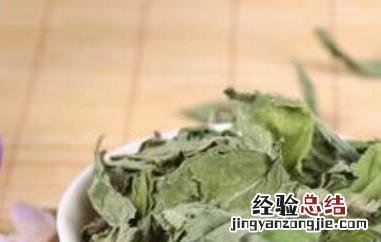 甜菊叶泡水的功效与作用 甜菊叶泡水有什么功效