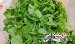 草头怎么做好吃 草头怎么做好吃又嫩
