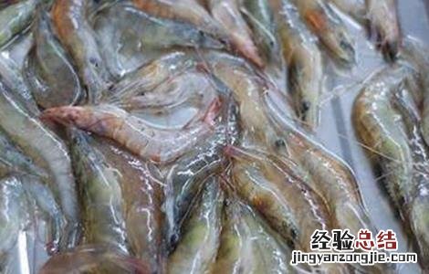 虾米不能和什么一起吃 虾不能和什么一起吃